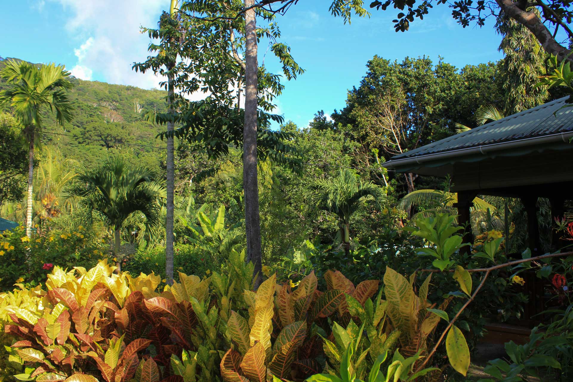 Garten Bois d Amour La Digue 