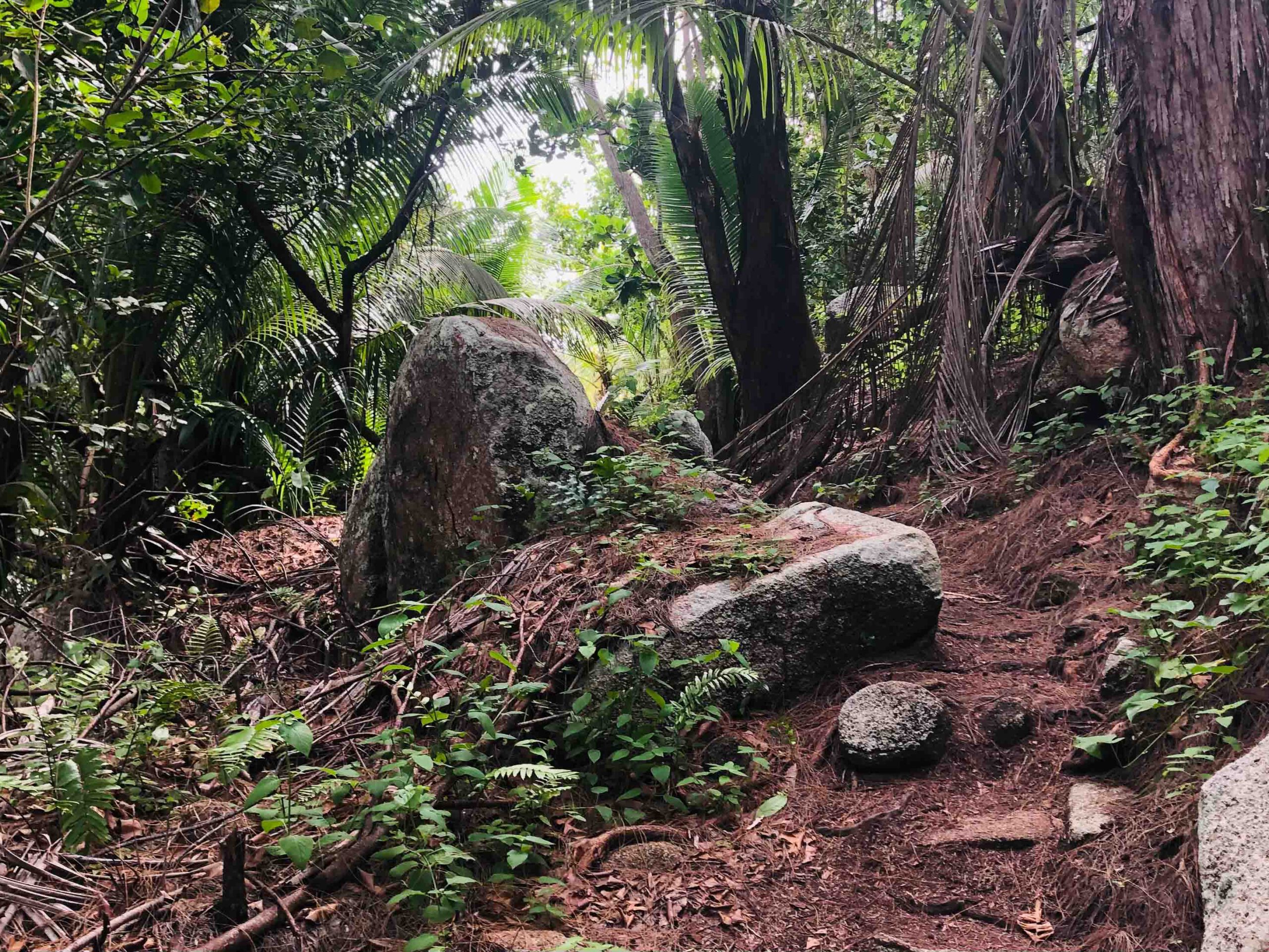 Hiking trails across the island of La Digue